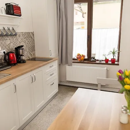Old Eroilor - Ultracentral & Free Parking Apartment